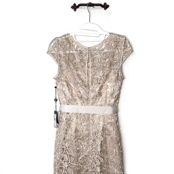 Adrianna Papell Lace Cap Sleeve Illusion Gown - Picture 9 of 10